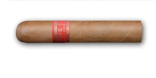 Partagas Serie D no 5