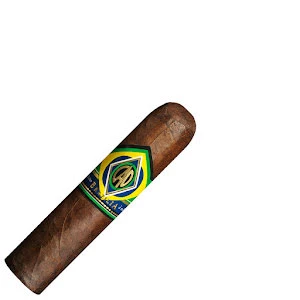 CAO Brazilia Corcovado