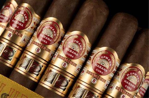 H. Upmann Connoisseur B